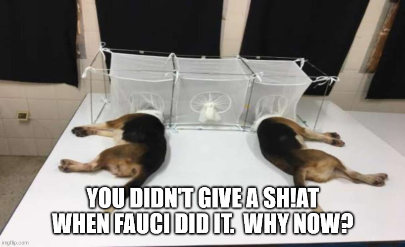 Fauci Beagles | YOU DIDN'T GIVE A SH!AT WHEN FAUCI DID IT.  WHY NOW? | image tagged in fauci beagles | made w/ Imgflip meme maker