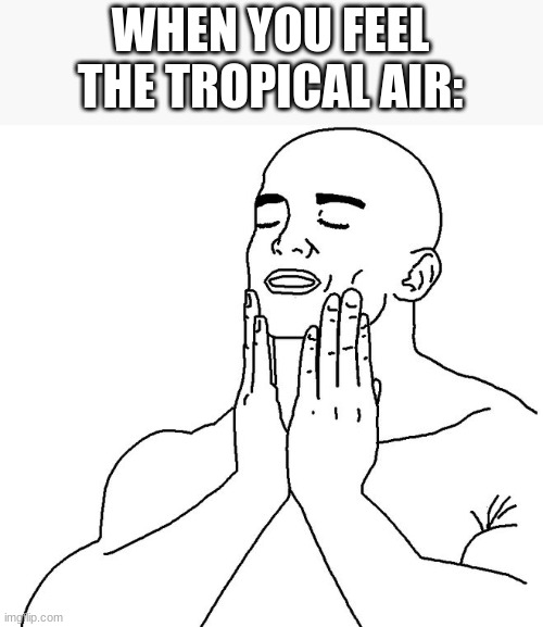 Satisfaction | WHEN YOU FEEL THE TROPICAL AIR: | image tagged in satisfaction,memes | made w/ Imgflip meme maker
