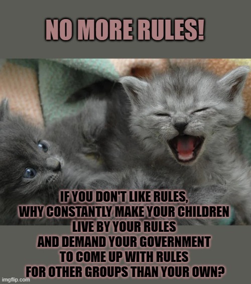 This #lolcat wonders why hoo-mans want less as well as more rules | NO MORE RULES! IF YOU DON'T LIKE RULES, 
WHY CONSTANTLY MAKE YOUR CHILDREN 
LIVE BY YOUR RULES 
AND DEMAND YOUR GOVERNMENT 
TO COME UP WITH RULES 
FOR OTHER GROUPS THAN YOUR OWN? | image tagged in conservatives,stupid people,double standards,dumb,lolcat | made w/ Imgflip meme maker