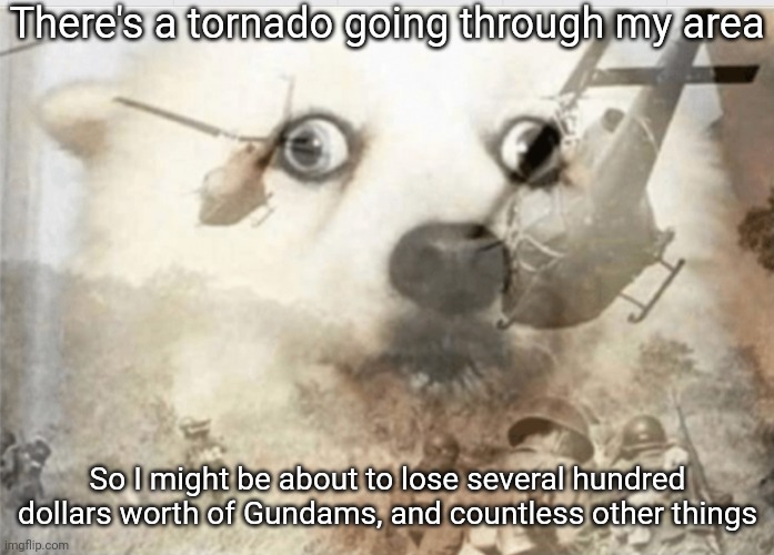 I should've put them all in storage when I had the chance. We just grabbed the essentials and left | There's a tornado going through my area; So I might be about to lose several hundred dollars worth of Gundams, and countless other things | image tagged in ptsd dog | made w/ Imgflip meme maker