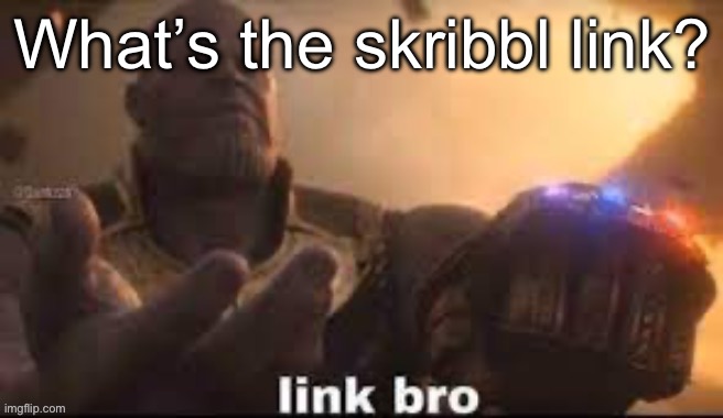 link bro | What’s the skribbl link? | image tagged in link bro | made w/ Imgflip meme maker