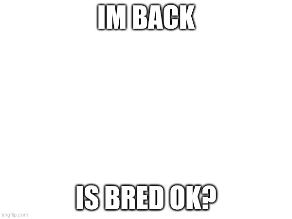 IM BACK; IS BRED OK? | made w/ Imgflip meme maker