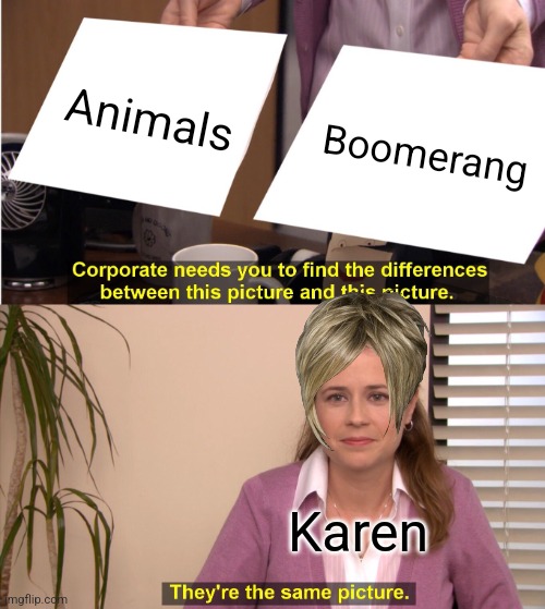 They're The Same Picture Meme | Animals; Boomerang; Karen | image tagged in memes,they're the same picture,animal cruelty,karen,boomerang | made w/ Imgflip meme maker