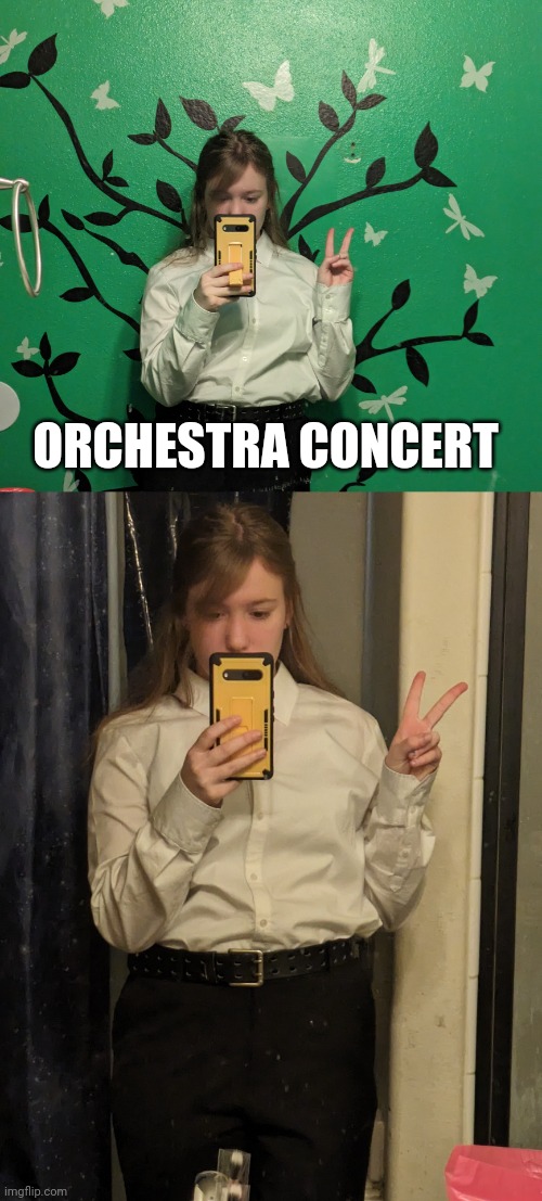 Orchestra concert | ORCHESTRA CONCERT | image tagged in orchestra,music,concert,violin,fun | made w/ Imgflip meme maker