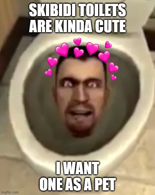 scooby doo toilet | SKIBIDI TOILETS ARE KINDA CUTE; I WANT ONE AS A PET | image tagged in skibidi secret,skibidi toilet,pets,dank memes,gen alpha,memes | made w/ Imgflip meme maker