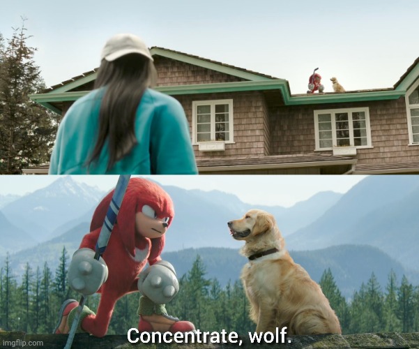 He's In Training | image tagged in knuckles,dogs,memes | made w/ Imgflip meme maker