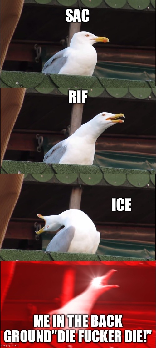 Inhaling Seagull Meme | SAC RIF ICE ME IN THE BACK GROUND”DIE FUCKER DIE!” | image tagged in memes,inhaling seagull | made w/ Imgflip meme maker