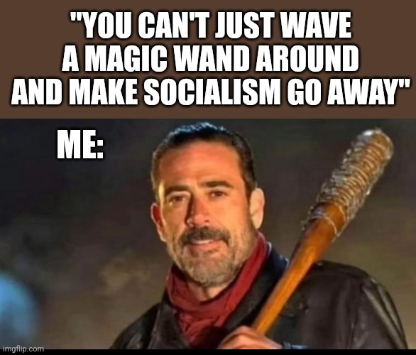 "YOU CAN'T JUST WAVE A MAGIC WAND AROUND AND MAKE SOCIALISM GO AWAY"; ME: | image tagged in funny memes | made w/ Imgflip meme maker
