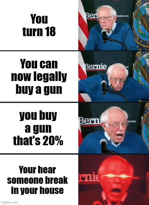 Perfect Gun Story | You turn 18; You can now legally buy a gun; you buy a gun that's 20%; Your hear someone break in your house | image tagged in bernie sanders reaction nuked,memes,dank memes,guns,america,18 | made w/ Imgflip meme maker