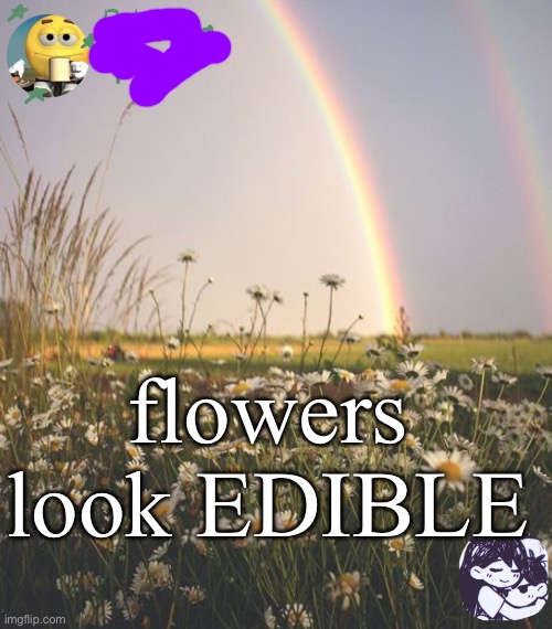 cereal | flowers look EDIBLE | image tagged in cereal | made w/ Imgflip meme maker