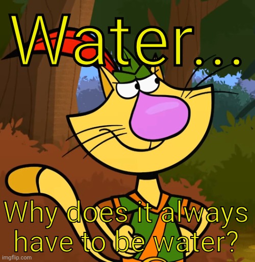 Grumpy Nature Cat | Water... Why does it always have to be water? | image tagged in grumpy nature cat | made w/ Imgflip meme maker