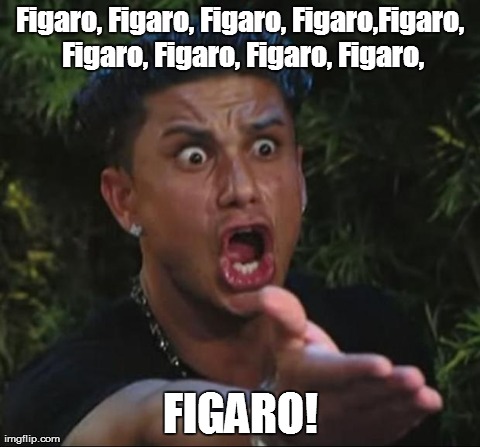 DJ Pauly D Meme | Figaro, Figaro, Figaro, Figaro,Figaro, Figaro, Figaro, Figaro, Figaro, FIGARO! | image tagged in memes,dj pauly d | made w/ Imgflip meme maker