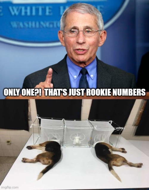 ONLY ONE?!  THAT'S JUST ROOKIE NUMBERS | image tagged in dr fauci,fauci beagles | made w/ Imgflip meme maker