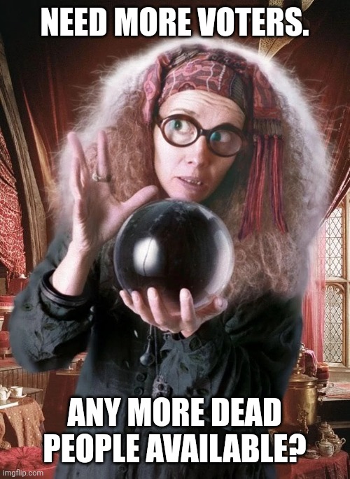 Trelawney crystal ball | NEED MORE VOTERS. ANY MORE DEAD PEOPLE AVAILABLE? | image tagged in trelawney crystal ball | made w/ Imgflip meme maker