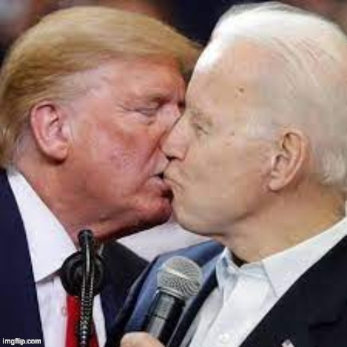 Donald and Joe being best friends | image tagged in donald and joe being best friends | made w/ Imgflip meme maker
