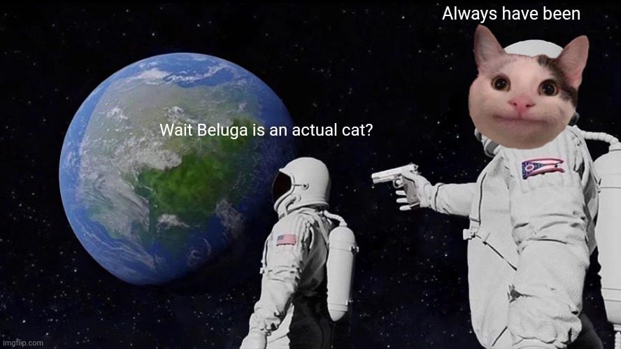 furry cat femboys in your area | Always have been; Wait Beluga is an actual cat? | image tagged in memes,always has been | made w/ Imgflip meme maker