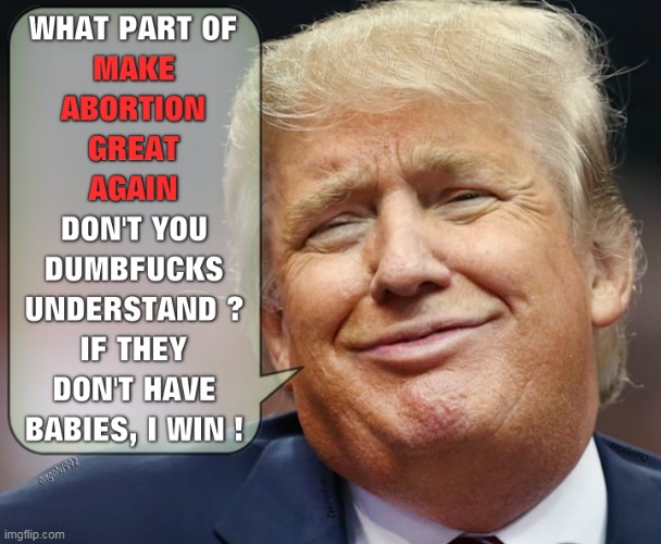 image tagged in florida,maga morons,abortion,clown car republicans,donald trump is an idiot,womens rights | made w/ Imgflip meme maker