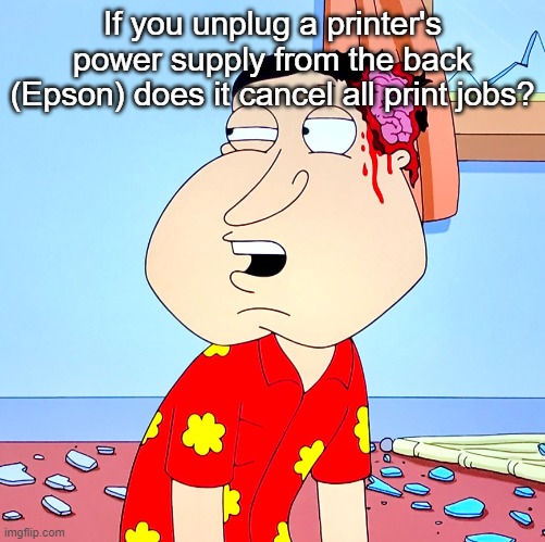 Massive Head Wound | If you unplug a printer's power supply from the back (Epson) does it cancel all print jobs? | image tagged in massive head wound | made w/ Imgflip meme maker