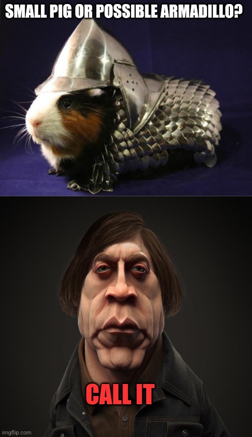 Call it | SMALL PIG OR POSSIBLE ARMADILLO? CALL IT | image tagged in guinea pig,call it | made w/ Imgflip meme maker