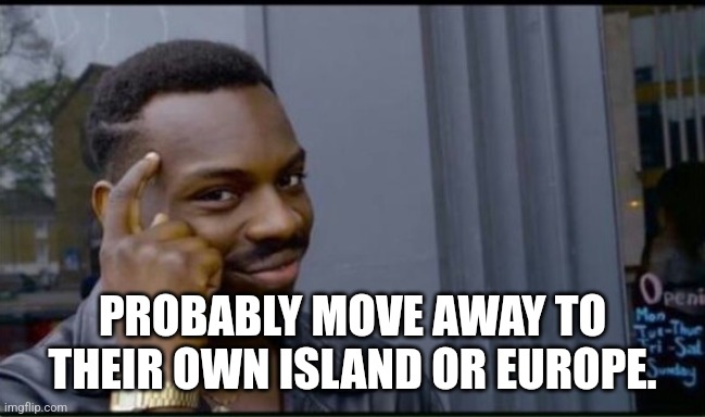 Thinking Black Man | PROBABLY MOVE AWAY TO THEIR OWN ISLAND OR EUROPE. | image tagged in thinking black man | made w/ Imgflip meme maker