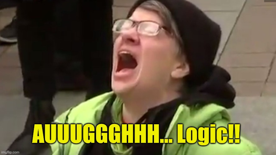 Screaming Liberal  | AUUUGGGHHH... Logic!! | image tagged in screaming liberal | made w/ Imgflip meme maker