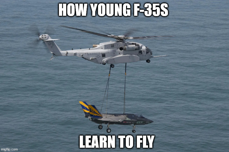 HOw jets learn to Fly | HOW YOUNG F-35S; LEARN TO FLY | image tagged in military humor,f35,lightning ii | made w/ Imgflip meme maker