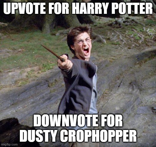 Harry potter | UPVOTE FOR HARRY POTTER; DOWNVOTE FOR DUSTY CROPHOPPER | image tagged in harry potter | made w/ Imgflip meme maker