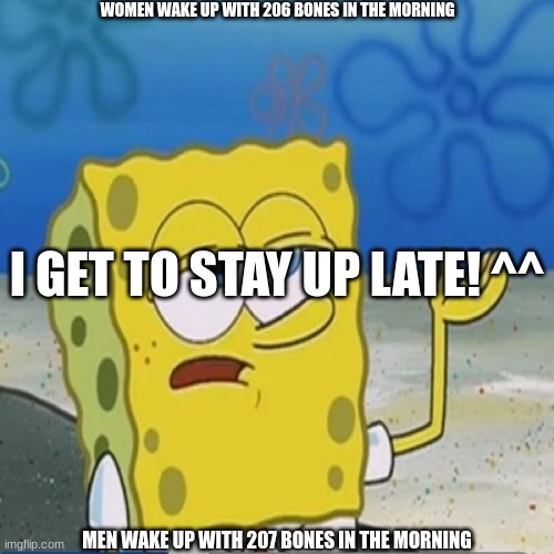 This is great! | WOMEN WAKE UP WITH 206 BONES IN THE MORNING; I GET TO STAY UP LATE! ^^; MEN WAKE UP WITH 207 BONES IN THE MORNING | image tagged in sponebob_have_you_know | made w/ Imgflip meme maker