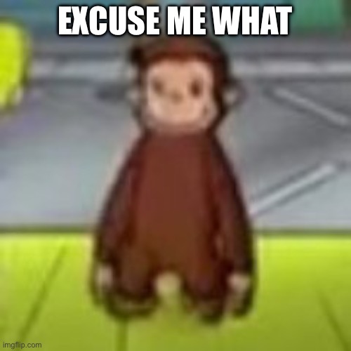 Low Quality Curious George | EXCUSE ME WHAT | image tagged in low quality curious george | made w/ Imgflip meme maker