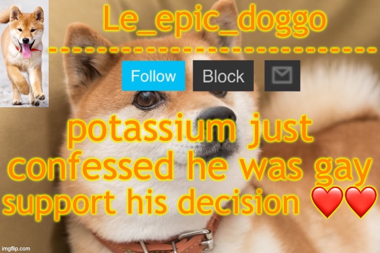 epic doggo's temp back in old fashion | potassium just confessed he was gay; support his decision ❤️❤️ | image tagged in epic doggo's temp back in old fashion | made w/ Imgflip meme maker