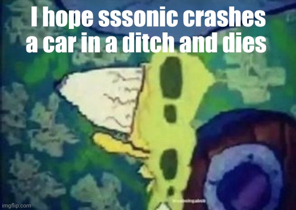 BAZINGA! | I hope sssonic crashes a car in a ditch and dies | image tagged in bazinga | made w/ Imgflip meme maker