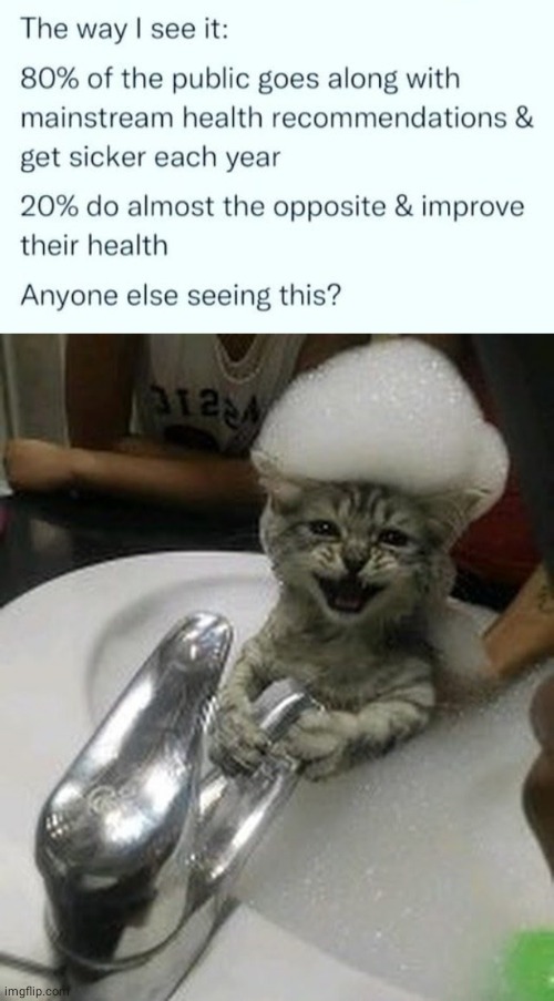 Health experts and skeptical cat | image tagged in skeptical,cat,bath,health | made w/ Imgflip meme maker