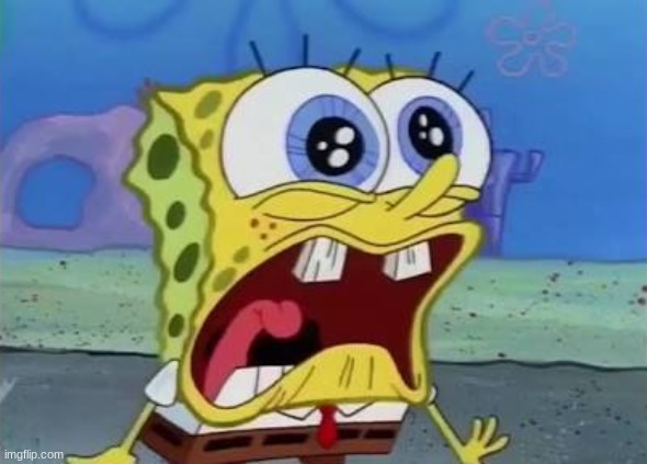 Spongebob crying/screaming | image tagged in spongebob crying/screaming | made w/ Imgflip meme maker