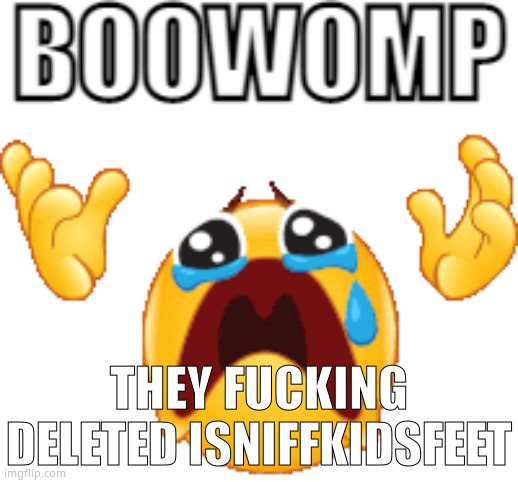 FUCK YOU ANDREW | THEY FUCKING DELETED ISNIFFKIDSFEET | image tagged in boowomp | made w/ Imgflip meme maker