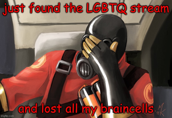 ohh boy | just found the LGBTQ stream; and lost all my braincells | image tagged in pyro face slap | made w/ Imgflip meme maker