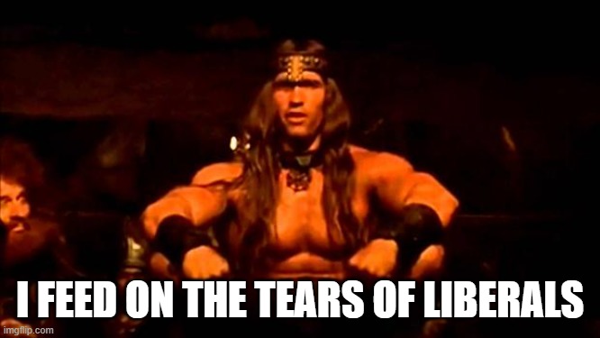 conan crush your enemies | I FEED ON THE TEARS OF LIBERALS | image tagged in conan crush your enemies | made w/ Imgflip meme maker