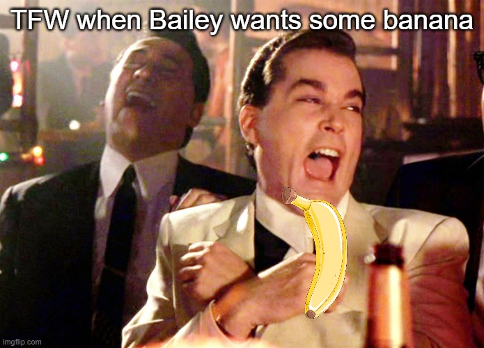 Good Fellas Hilarious Meme | TFW when Bailey wants some banana | image tagged in memes,good fellas hilarious | made w/ Imgflip meme maker