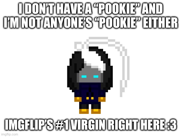 Hehe | I DON’T HAVE A “POOKIE” AND I’M NOT ANYONE’S “POOKIE” EITHER; IMGFLIP’S #1 VIRGIN RIGHT HERE :3 | image tagged in e | made w/ Imgflip meme maker