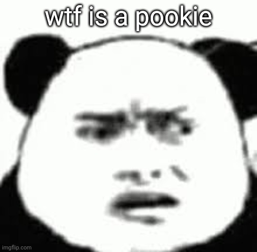 Confused chinese bear | wtf is a pookie | image tagged in confused chinese bear | made w/ Imgflip meme maker