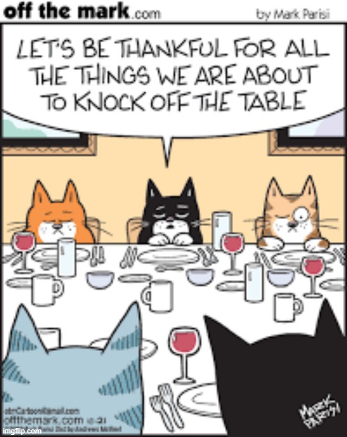 image tagged in memes,comics/cartoons,cats,knock,off,thankful | made w/ Imgflip meme maker