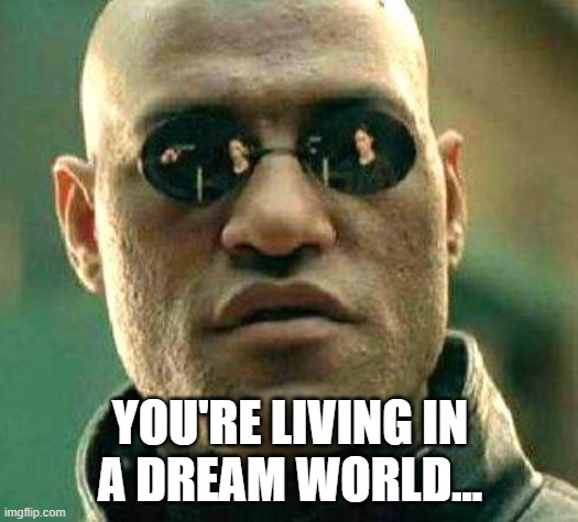 What if i told you | YOU'RE LIVING IN
A DREAM WORLD... | image tagged in what if i told you | made w/ Imgflip meme maker