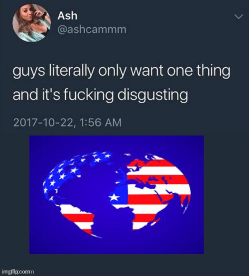 I’d be better than the UN that’s for sure | image tagged in guys literally only want one thing,america | made w/ Imgflip meme maker