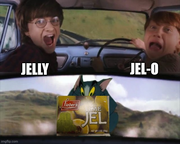 Tom chasing Harry and Ron Weasly | JEL-O; JELLY | image tagged in tom chasing harry and ron weasly | made w/ Imgflip meme maker
