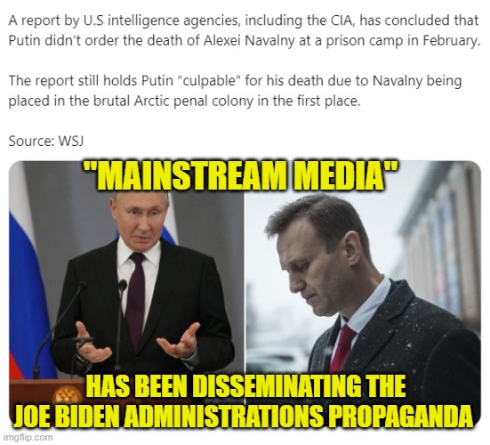 American Intelligence Agencies have determined all "Mainstream Media" is propaganda | "MAINSTREAM MEDIA"; HAS BEEN DISSEMINATING THE JOE BIDEN ADMINISTRATIONS PROPAGANDA | image tagged in propaganda,msnbc,russia,vladimir putin,cnn fake news,mainstream media | made w/ Imgflip meme maker