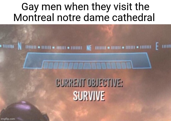 Current Objective: Survive | Gay men when they visit the Montreal notre dame cathedral | image tagged in current objective survive | made w/ Imgflip meme maker