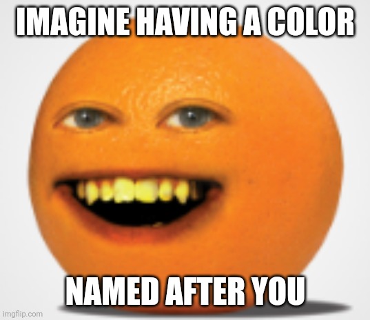 Bro think he an orange | IMAGINE HAVING A COLOR; NAMED AFTER YOU | image tagged in annoying orange | made w/ Imgflip meme maker