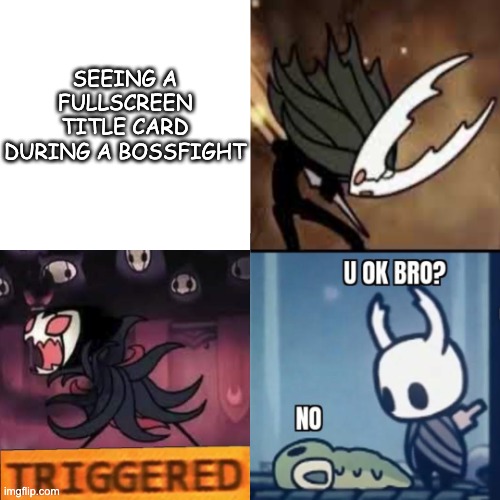 nkg and radiance be like: | SEEING A FULLSCREEN TITLE CARD DURING A BOSSFIGHT | image tagged in when its bad hk edition,hollow knight | made w/ Imgflip meme maker