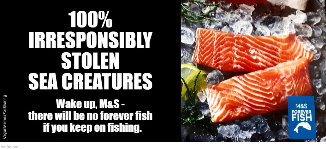 Fish Feel Pain | image tagged in vegan,veganism,fish,cod,seafood,overfishing | made w/ Imgflip meme maker