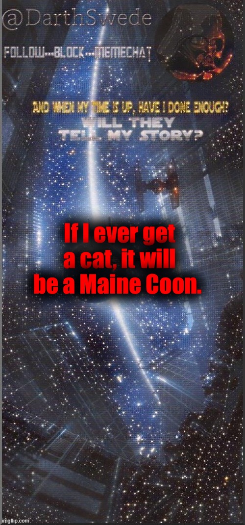 DarthSwede announcement template | If I ever get a cat, it will be a Maine Coon. | image tagged in darthswede announcement template new | made w/ Imgflip meme maker