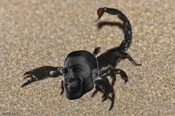 Scorpions | image tagged in scorpions | made w/ Imgflip meme maker